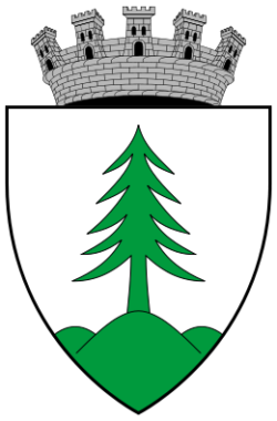 The COA of Gyergyószentmiklós