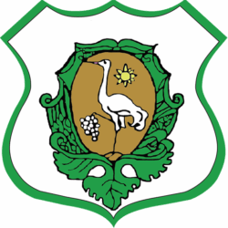 Zhe COA of Székelyhíd